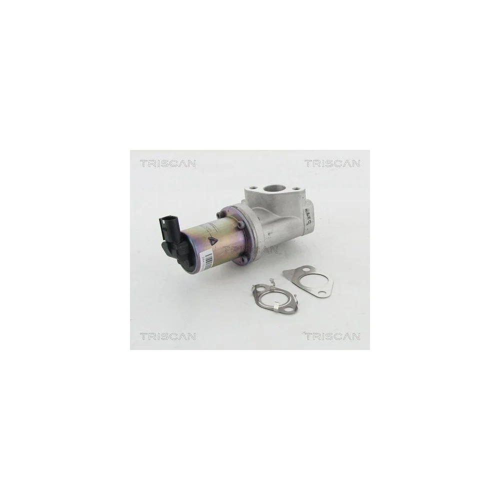 Клапан EGR TRISCAN 8813 43021 для HYUNDAI KIA, фото №1