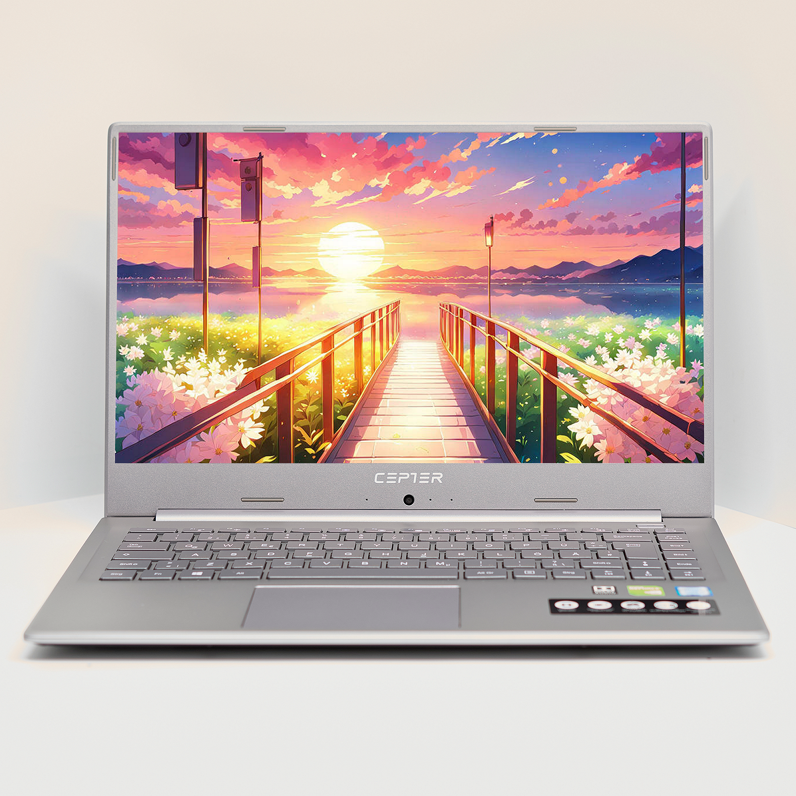 Ноутбук 15.6'' Medion (Lenovo Group) Akoya P6645 | Intel Core i7-8565U | IPS (1920x1080) FullHD | RAM 16 ГБ | SSD 512 ГБ | Nvidia GeForce MX250 | Intel UHD Graphics 620 | Металевий корпус | Win11 (4995), фото №1
