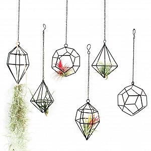 Тримачі для тилландсії геометричні металеві хіммелі набір із 6 шт. чорний - Фото 1