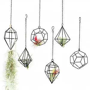 Держатели для тилландсии геометрические металлические химмели набор из 6 шт. черный - Фото 1