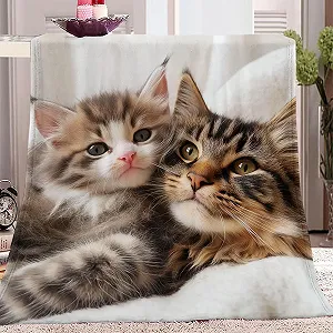 Покривало з милим кошеням 130 x 150 см М'яка тепла флісова Покривало для зими Різнокольорові різдвяні прикраси - Фото 1