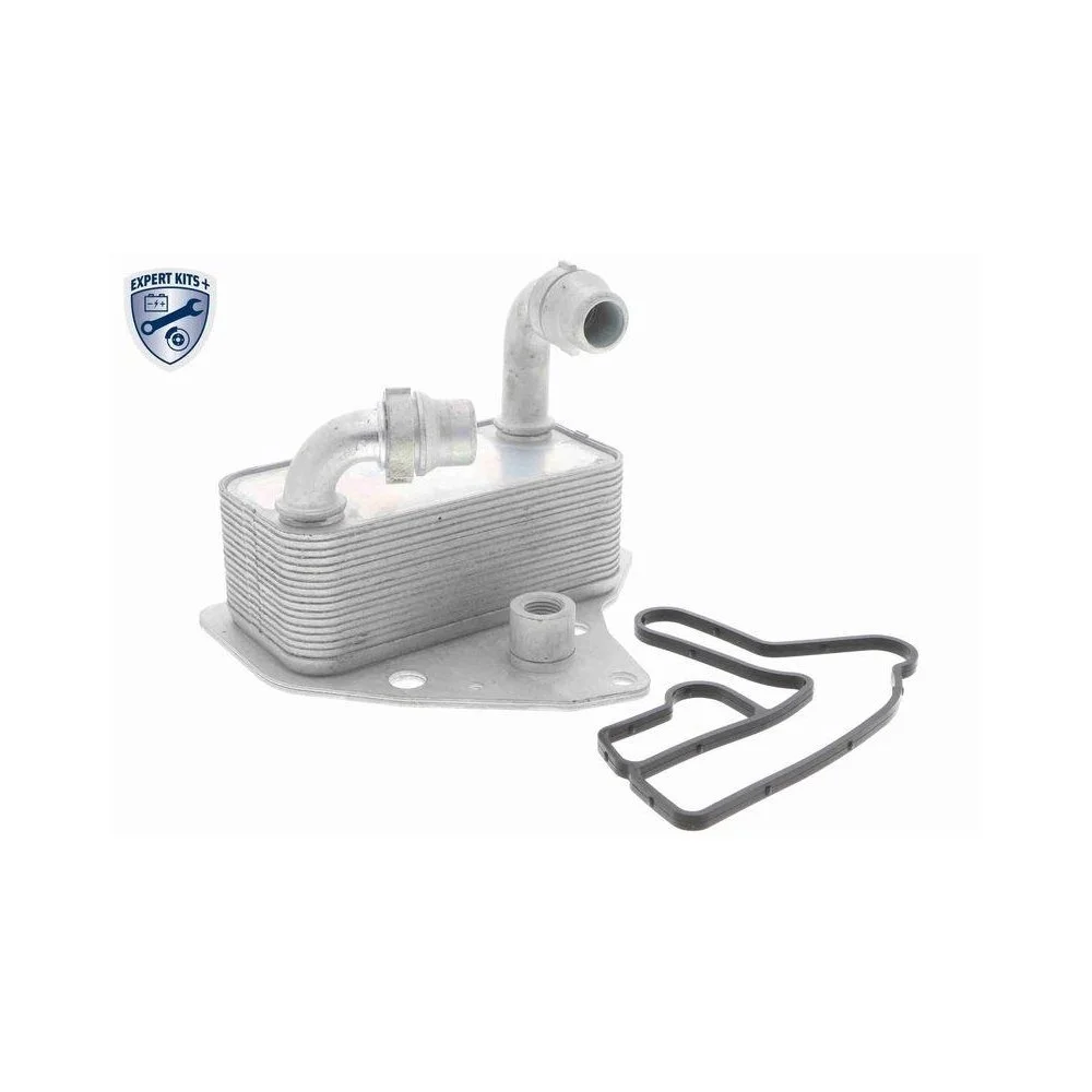 Масляный радиатор двигателя VEMO EXPERT KITS + V40-60-2100 для ALFA ROMEO FIAT LANCIA OPEL, фото №1 Масляный радиатор двигателя VEMO EXPERT KITS + V40-60-2100 для ALFA ROMEO FIAT LANCIA OPEL, фото №1