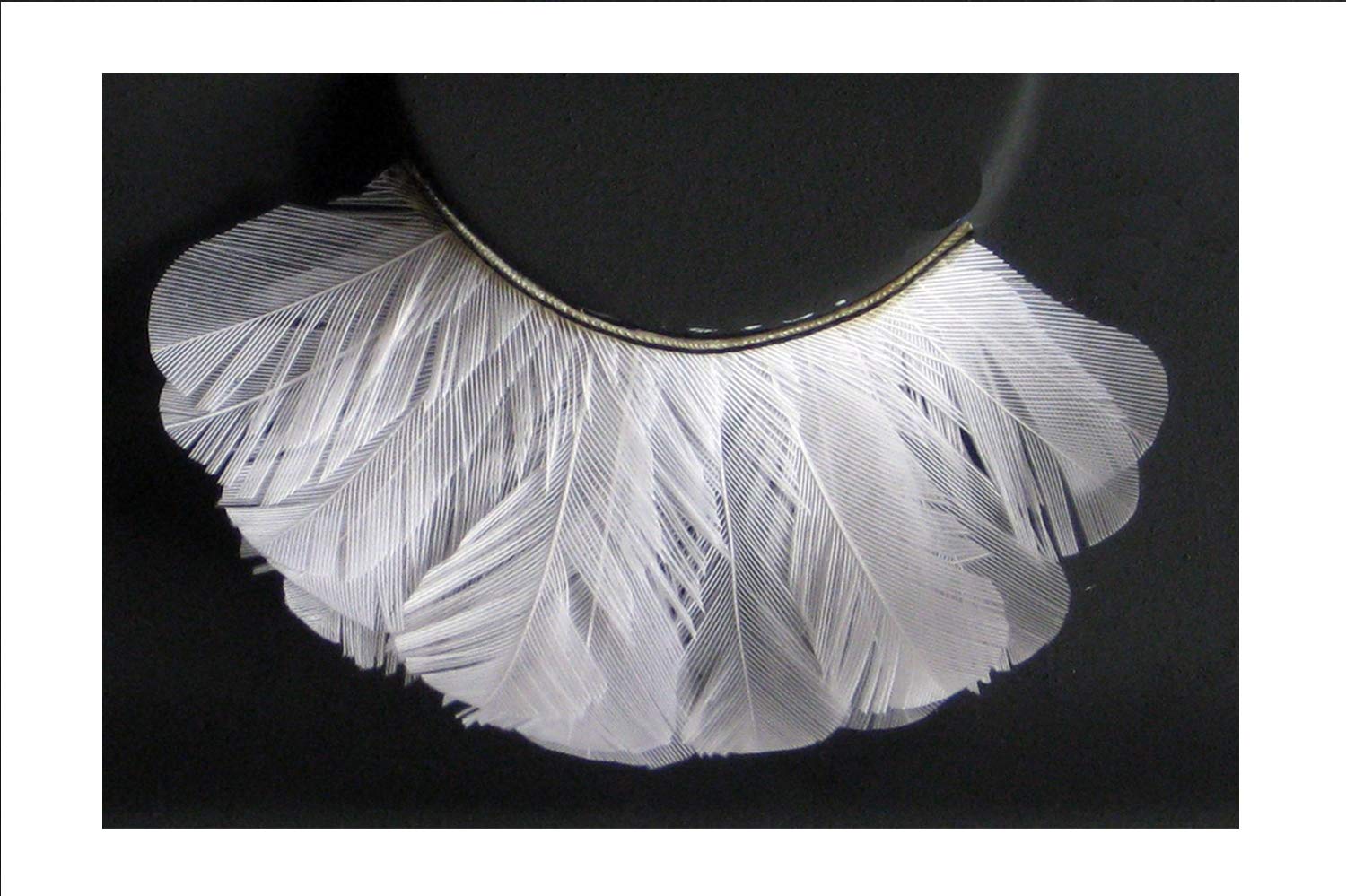 Цветные ресницы Eulenspiegel Белые Перо, фото №3