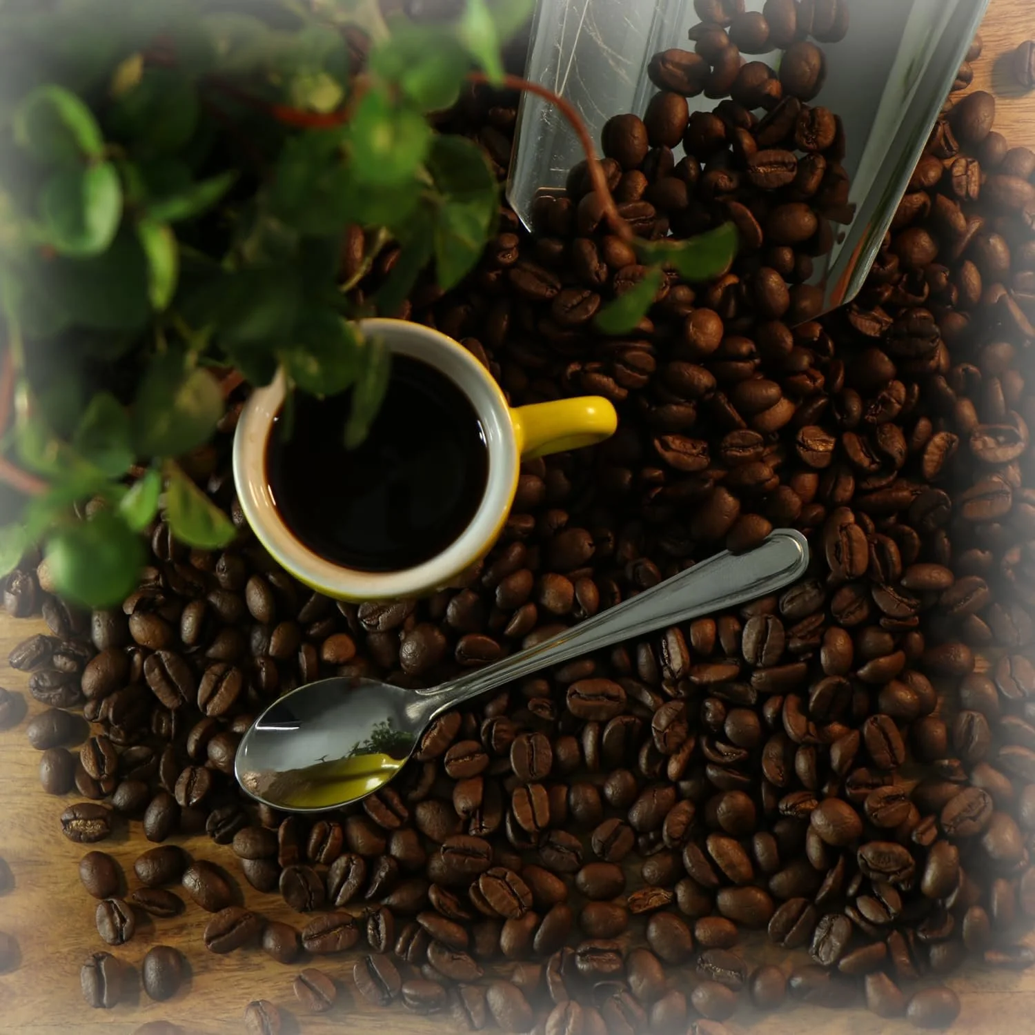 Ложка для еспресо COM-FOUR Нержавіюча сталь, 12 см, сріблястий колір (12 штук), фото №8