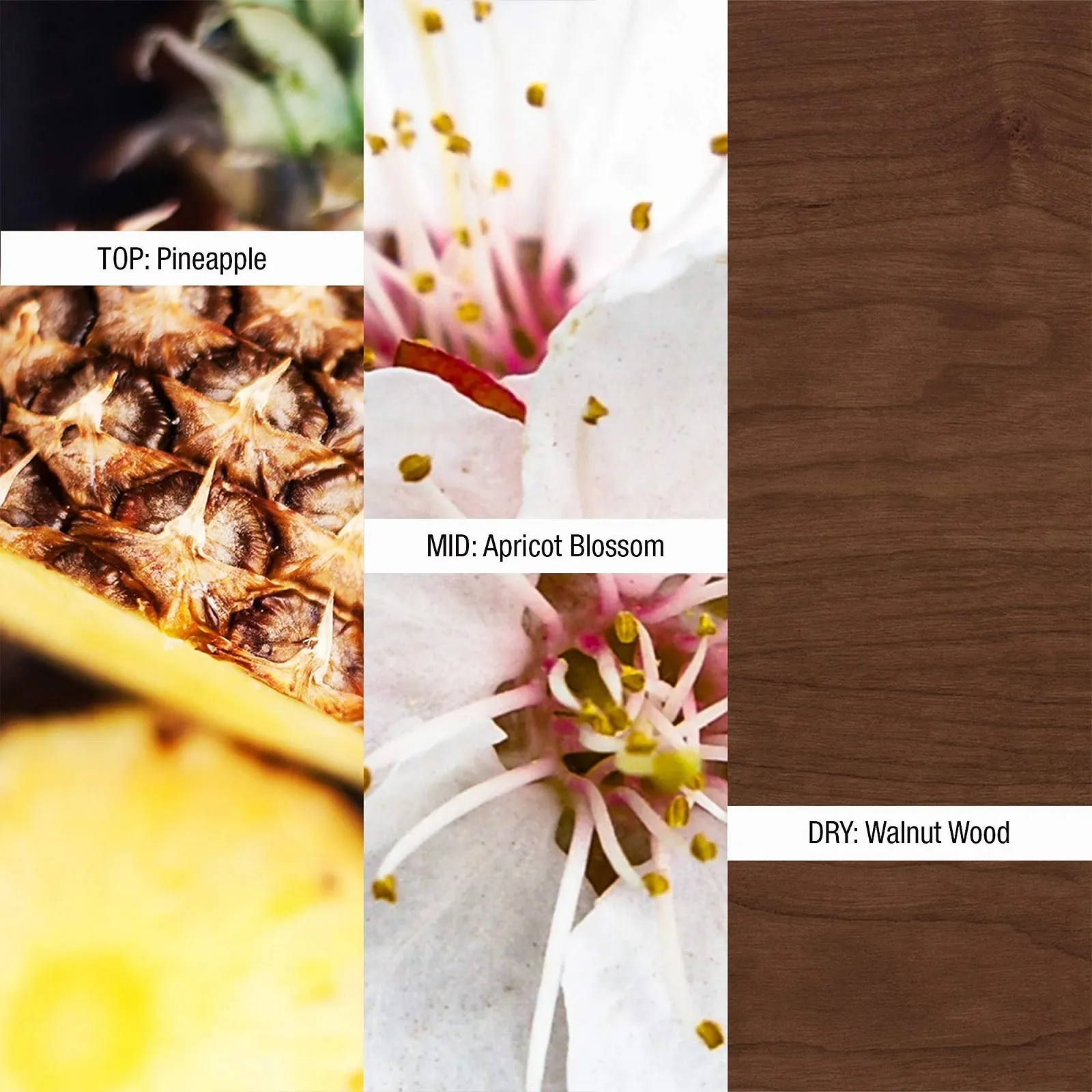 Парфумована вода Shawn Mendes Signature II Zerstäuber, фото №4