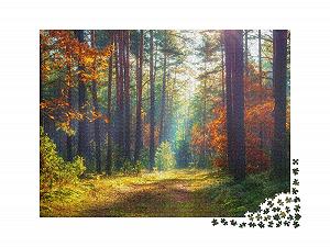 Пазл puzzleYOU Флора, Природа, Растения, Цветы и растения, Небо и времена года Осенний природный ландшафт 2000 элементов synthetic.ua - Фото 1