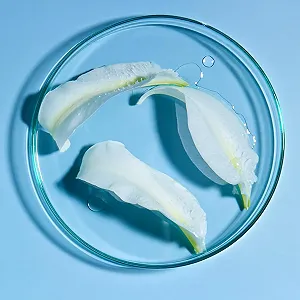 Гель для умывания NIVEA Erfrischend для нормальной и комбинированной кожи 150 мл synthetic.ua - Фото 1