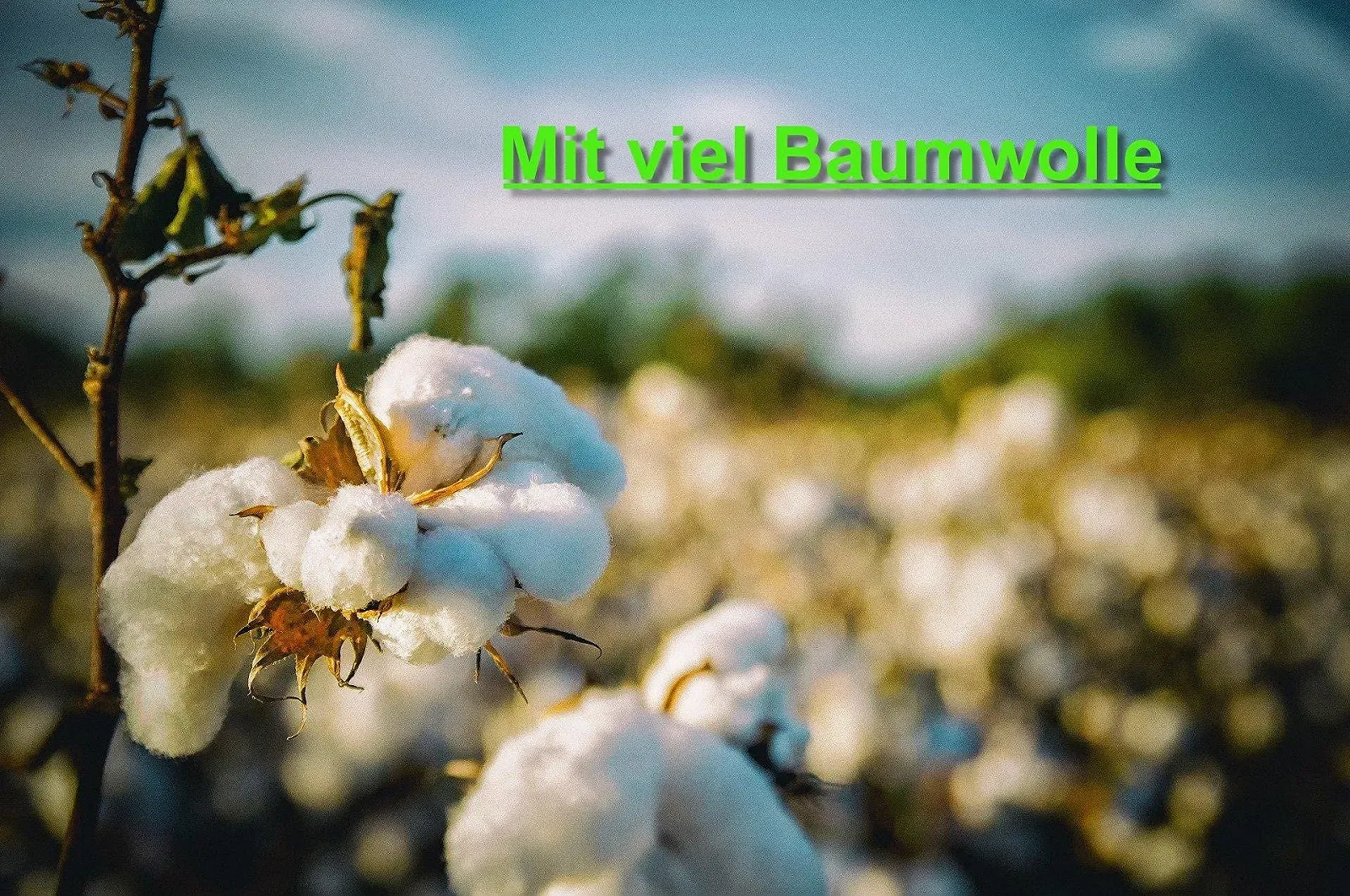 Шкарпетки TippTexx 24 Бавовняні гольфи 3 пари Антрацитовий мікс, фото №2 Шкарпетки TippTexx 24 Бавовняні гольфи 3 пари Антрацитовий мікс, фото №2