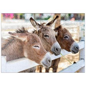 Купить Пазл MyPuzzle MyPuzzle Special Collection Three Donkeys on the Farm Премиум 200 элементов - Фото 1 Пазл MyPuzzle MyPuzzle Special Collection Three Donkeys on the Farm Премиум 200 элементов - Фото 1