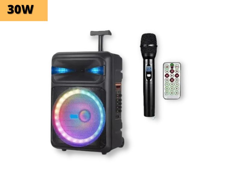 Портативний колона бумбокс XPRO NDR-Q08 сумка 30Вт USB SD FM радіо Bluetooth 1 мікрофон ДУ (MER-15676), фото №2 Портативний колона бумбокс XPRO NDR-Q08 сумка 30Вт USB SD FM радіо Bluetooth 1 мікрофон ДУ (MER-15676), фото №2