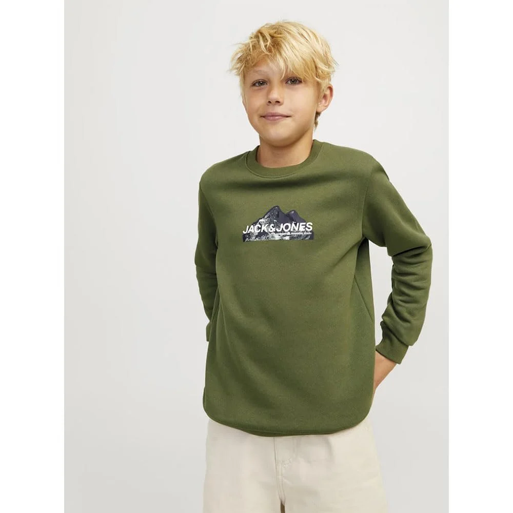 Толстовка JACK&JONES JUNIOR Jcomountain Logo Sweat Crew Neck Sn Mni для хлопчиків, фото №5