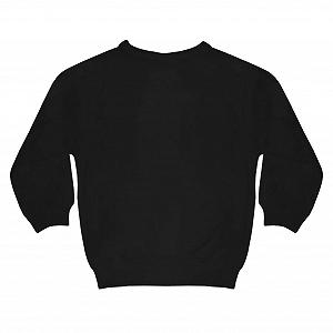 Джемпер для мальчиков Spaß Kostet synthetic.ua - Фото 1