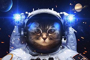 Купити Пазли 1000 елементів для всієї родини з екологічних матеріалів - Фото 1 Пазли 1000 елементів для всієї родини з екологічних матеріалів - Фото 1