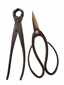 Набір інструментів для бонсай: Ножиці, Щипці для бруньок - Фото 1