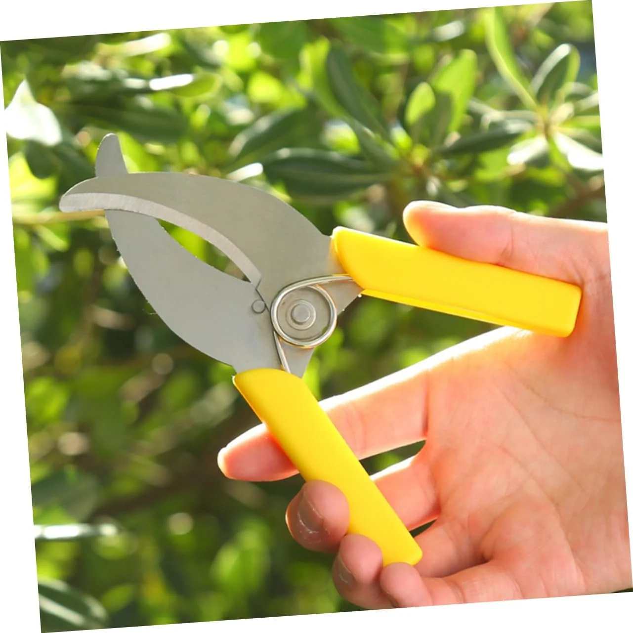 Кільцевий ніж для кори Happyyami Нержавіюча сталь 2 шт., фото №9