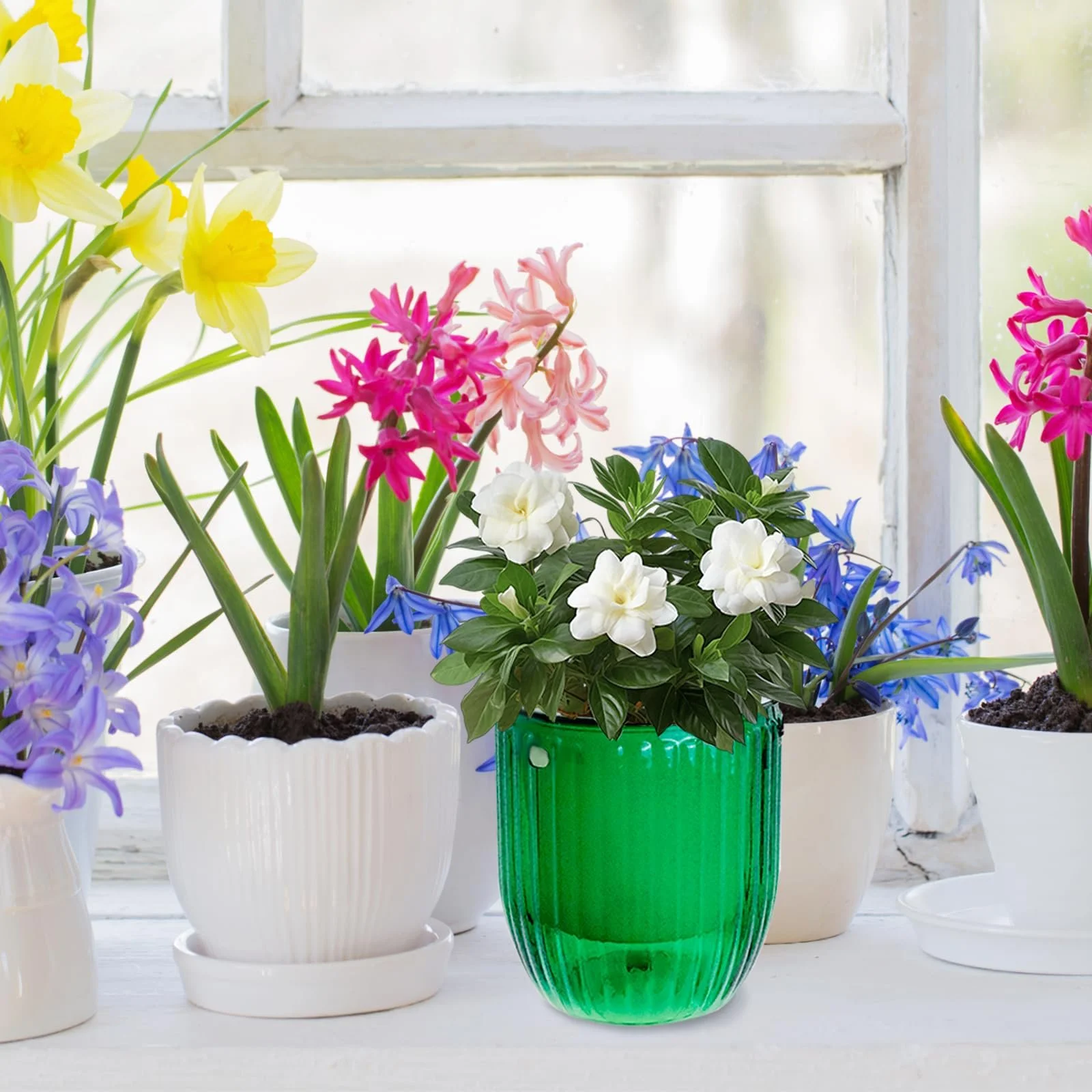 Подвесной вазон для цветов Pack of 2 с дренажным отверстием, металлической цепью и S-образными крючками Прозрачный зеленый, фото №4