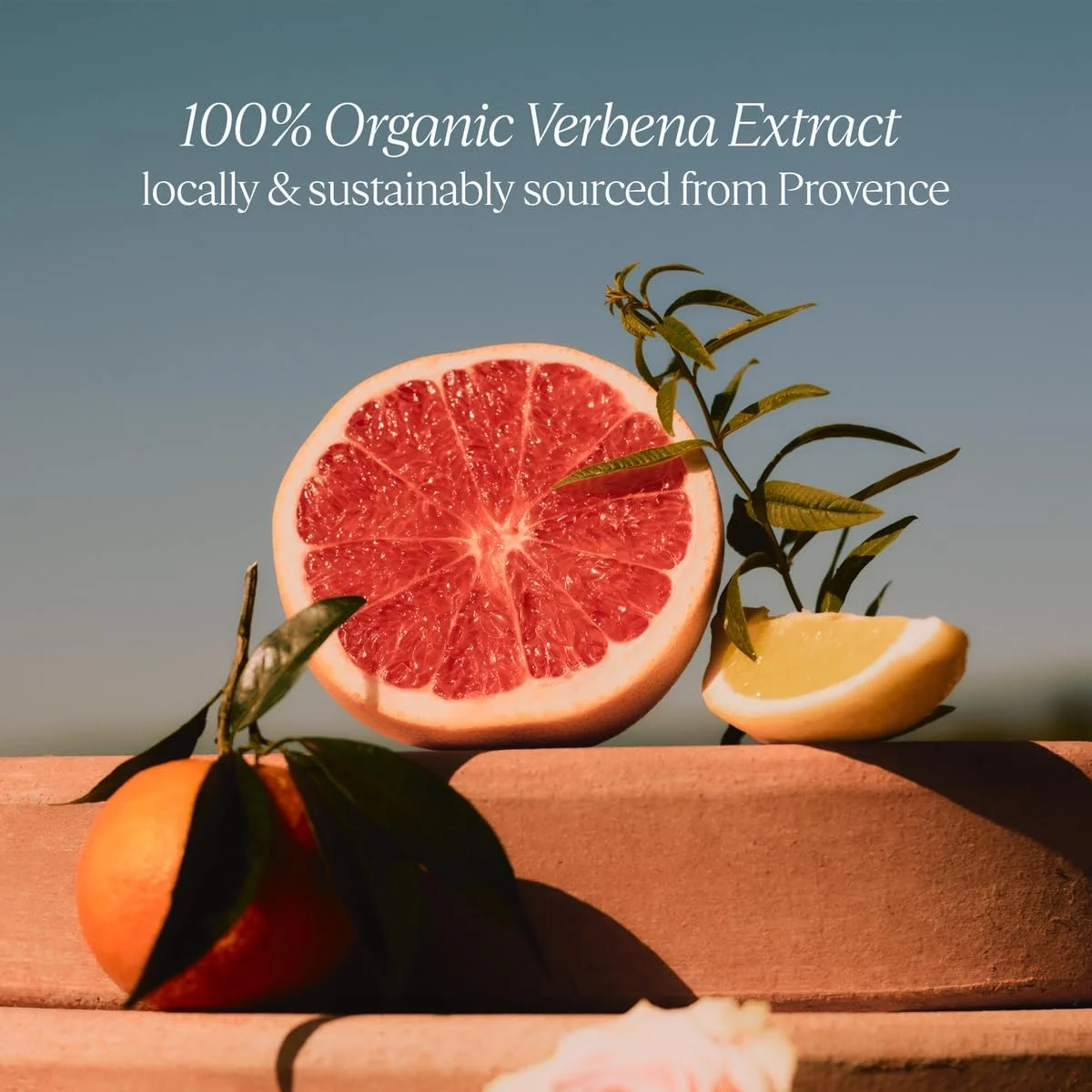 Крем для рук L'OCCITANE Verbena agrumes - мужской, 1 шт (1 x 30 мл), фото №2 Крем для рук L'OCCITANE Verbena agrumes - мужской, 1 шт (1 x 30 мл), фото №2