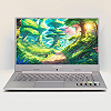 Ноутбук 15.6'' Medion (Lenovo Group) Akoya P6645 | Intel Core i7-8565U | IPS (1920x1080) FullHD | RAM 16 ГБ | SSD 256 ГБ | Nvidia GeForce MX250 | Intel UHD Graphics 620 | Металевий корпус | Win11 (4994) Б/В Хороший