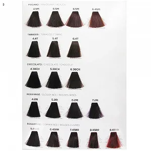 Купити Фарба для волосся Bheysé Renée Blanche 638 CH Темний Шоколадний Блонд - Фото 1 Фарба для волосся Bheysé Renée Blanche 638 CH Темний Шоколадний Блонд - Фото 1