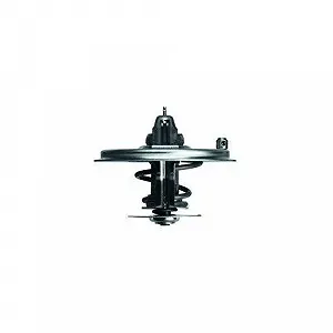 Термостат охлаждающей жидкости MAHLE BEHR TX 36 85D для BMW synthetic.ua - Фото 1