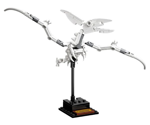 Конструктор LEGO Ideas Окаменелости динозавров (21320), фото №10