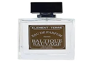 Парфумована вода ELEMENT-TERRE Sauvage M Baltic 100 мл - Фото 1