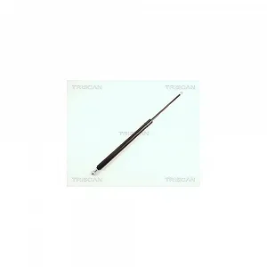 Амортизатор багажника TRISCAN 8710 29262 для AUDI, задній лівий - Фото 1