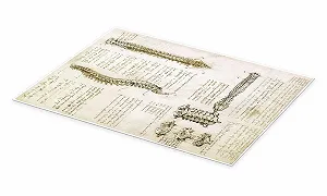 Постер Leonardo da Vinci Spine 50 x 70 см бежевый synthetic.ua - Фото 1