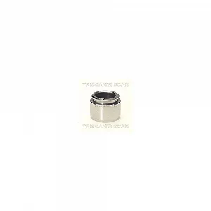 Поршень тормозного суппорта TRISCAN 8170 233803 - Фото 1