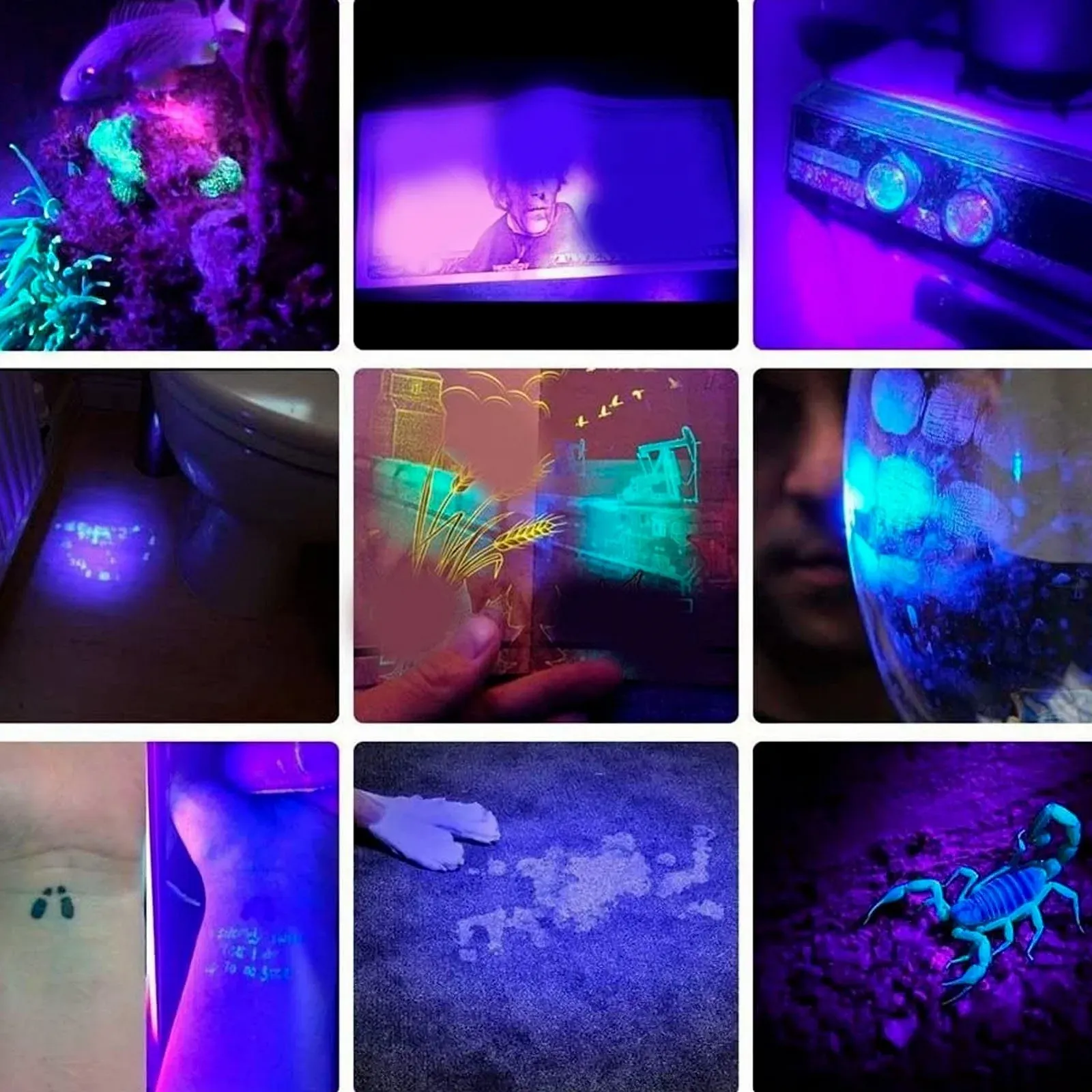 Ліхтарик TOPINCN 365 nm, USB Type C акумуляторний, портативний 60 Вт LED Black Light, міні ручний для виявлення сечі домашніх тварин, затвердіння смоли, скорпіонів, фото №5