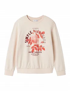 Свитшот NAME IT Nkfhekki LS Nreg Sweat Unb Box для девочек - Фото 1