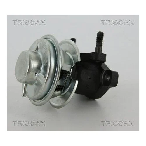 Клапан EGR TRISCAN 8813 43008 HYUNDAI, фото №2