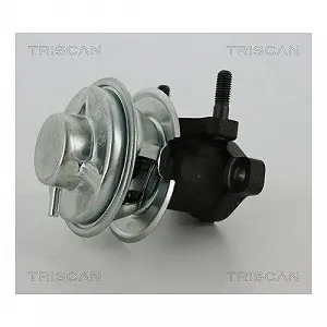 Клапан EGR TRISCAN 8813 43008 HYUNDAI synthetic.ua - Фото 1