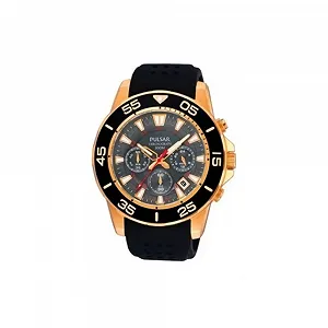 Часы Pulsar PT3134X1 Черный - Фото 1