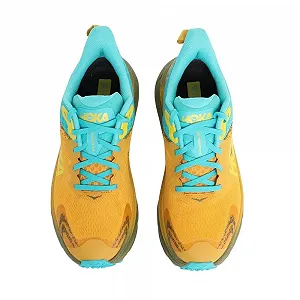 Мужские кроссовки для трейлраннинга HOKA Challenger ATR 7 GTX synthetic.ua - Фото 1