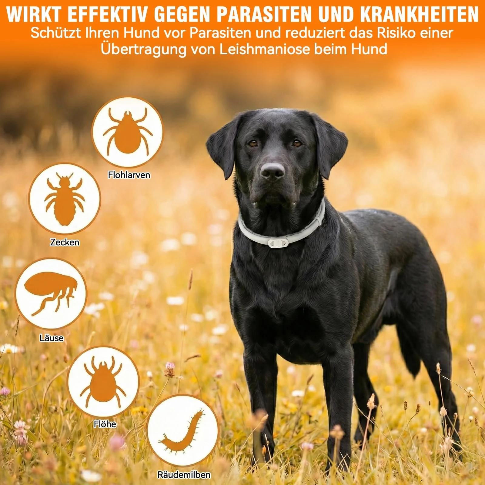 Нашийник від бліх та кліщів для собак 8 Months Protection Adjustable Waterproof 65 см 2 шт, фото №3