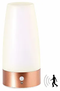 Настольная лампа Lunartec Battery LED PIR Motion Sensor Warm White synthetic.ua - Фото 1