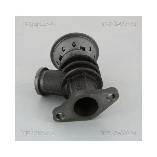 Клапан EGR TRISCAN 8813 28100 для CITROËN PEUGEOT, фото №3