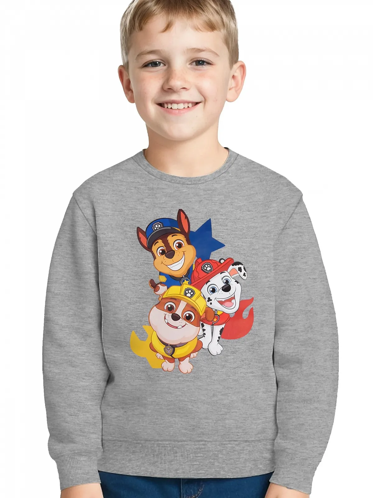 Світшот United Labels Paw Patrol для хлопчиків - Дитячий пуловер Сірий, фото №1
