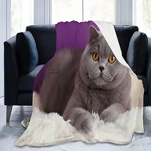 М'який плед Einfachheit Kätzchen Fotografie, високоякісний фланель, сіро-фіолетовий, 200 x 200 см synthetic.ua - Фото 1