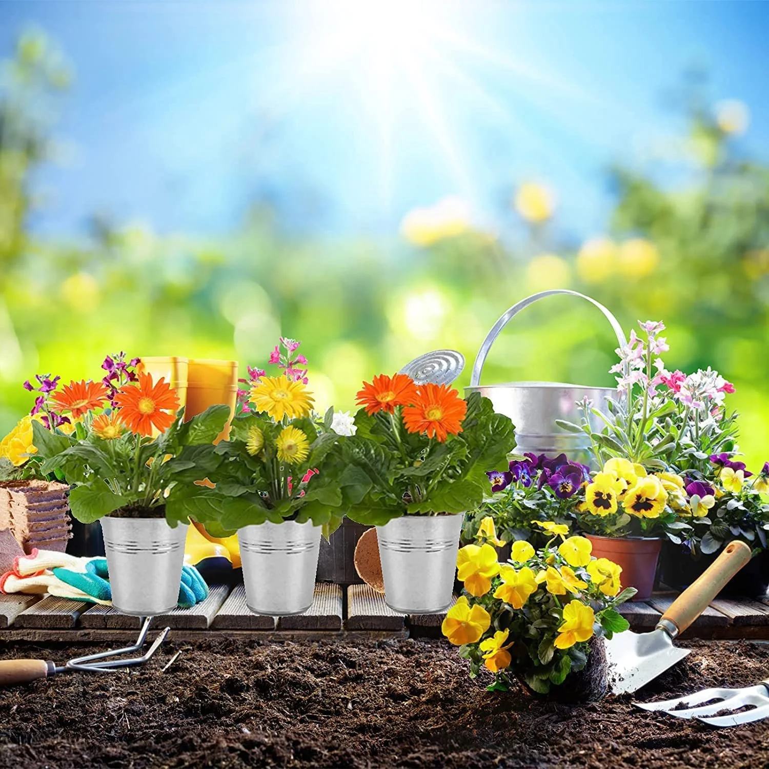 Міні-кашпо металеві LATERN Набір із 12 шт. 6 см підвісні знімна ручка Silver, фото №5 Міні-кашпо металеві LATERN Набір із 12 шт. 6 см підвісні знімна ручка Silver, фото №5