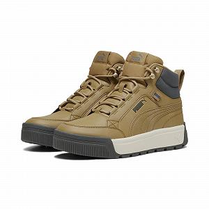 Черевики PUMA Tarrenz Sb III Puretex Чоловічі synthetic.ua - Фото 1