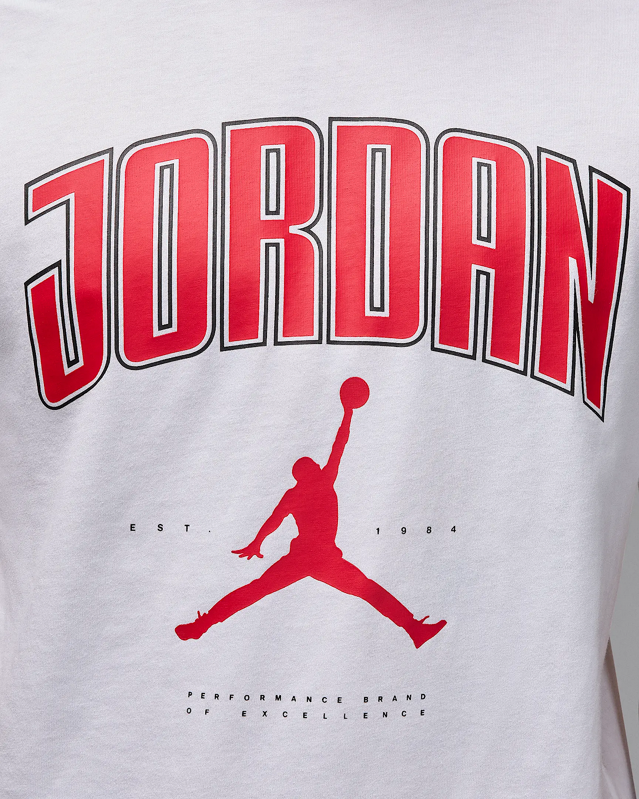 Футболка Jordan M J CITY 88 SS CREW L, фото №4