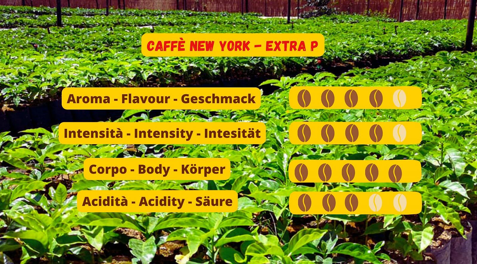 Кава в зернах New York Extra P, арабіка і робуста - 1 кг, фото №4
