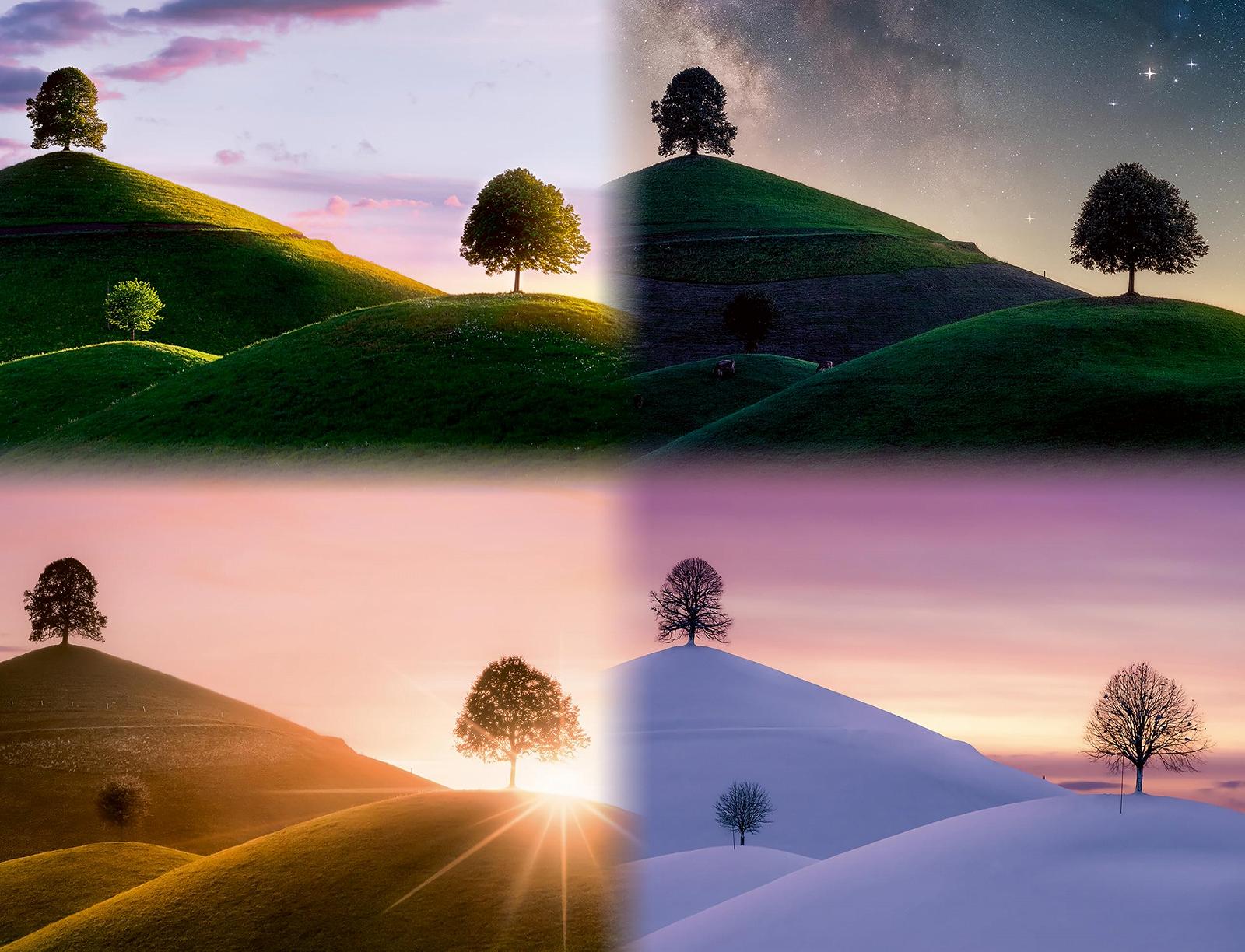 Пазл Ravensburger Atmospheric Trees and Mountains 17443 2000 деталей, фото №1