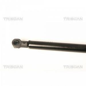 Газліфт заднього скла TRISCAN 8710 25253 для RENAULT synthetic.ua - Фото 1