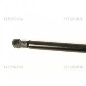 Газлифт заднего стекла TRISCAN 8710 25253 для RENAULT synthetic.ua - Фото 1