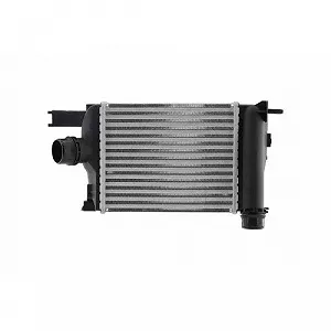 Интеркулер HELLA 8ML 366 471-081 для RENAULT DACIA synthetic.ua - Фото 1