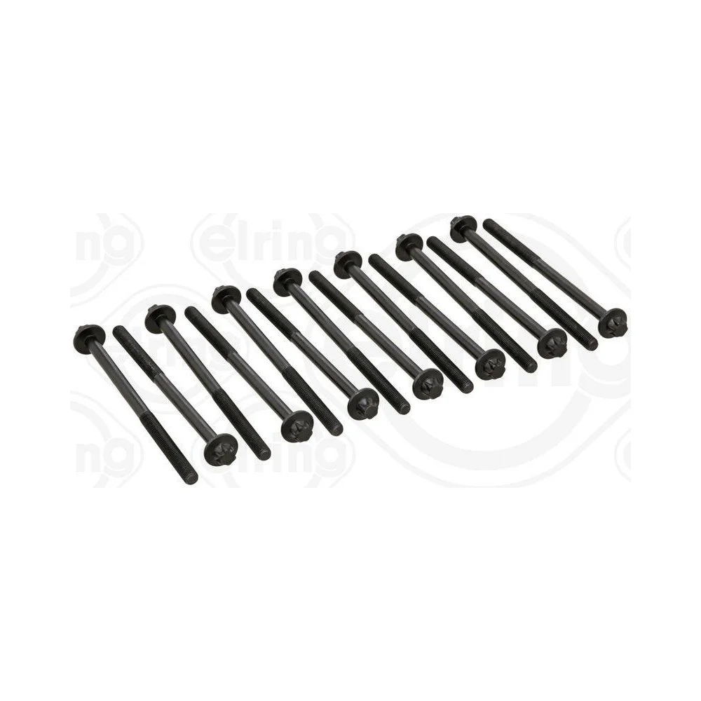 Комплект болтів головки циліндрів ELRING 233.380 для BMW, фото №1