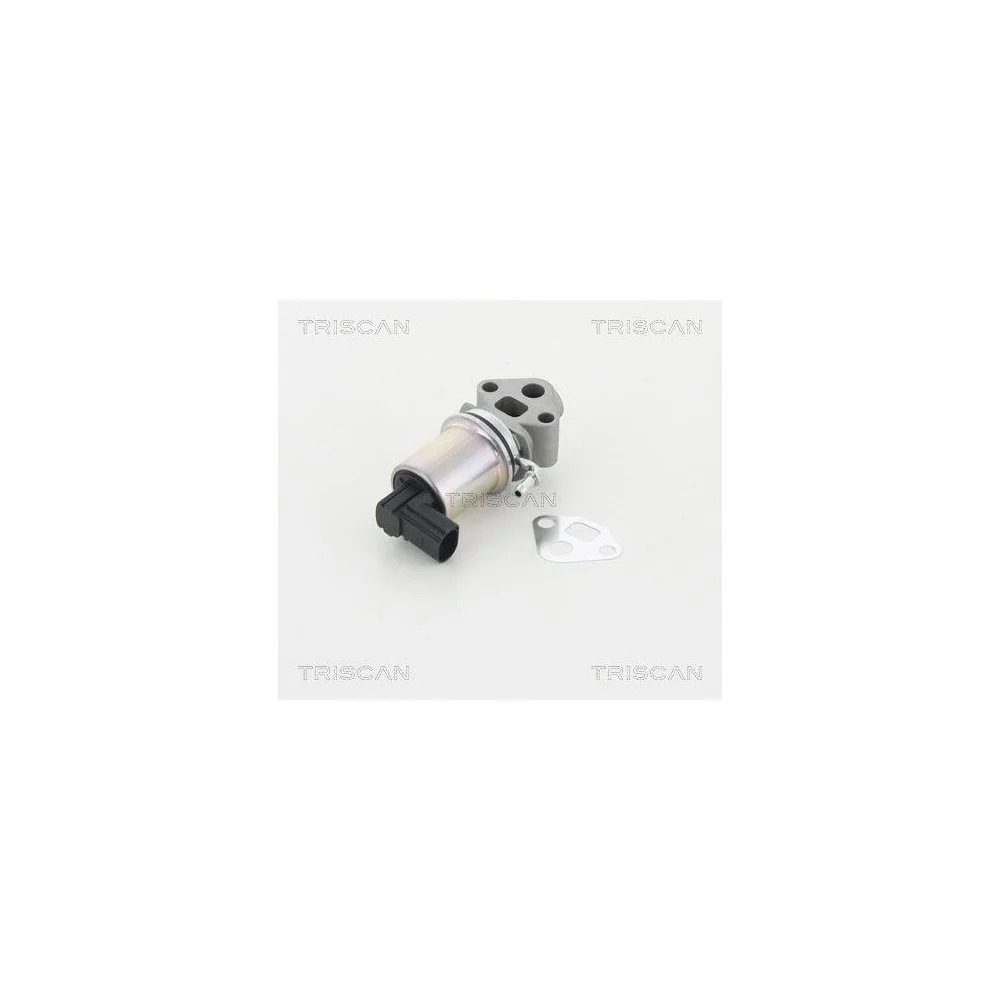 Клапан EGR TRISCAN 8813 29007 AUDI SEAT SKODA VW, фото №1